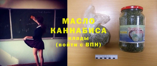 гидра Новодвинск