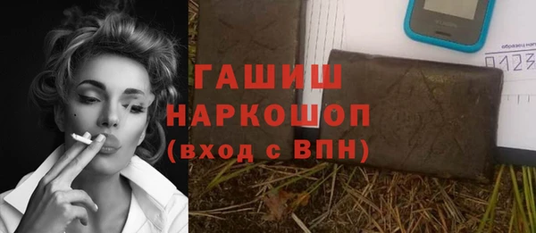 хмурый Новозыбков