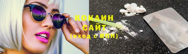 хмурый Новозыбков