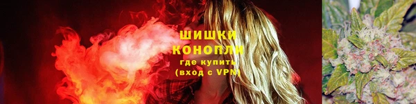 каннабис Новокубанск