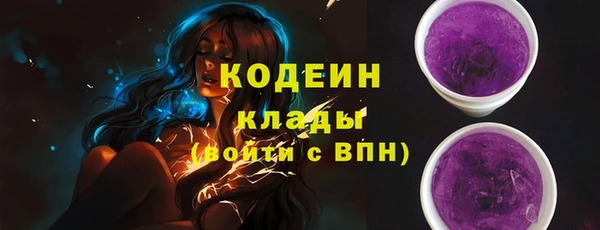 хмурый Новозыбков