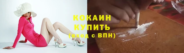 СК Няндома