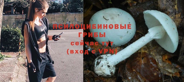 каннабис Новокубанск
