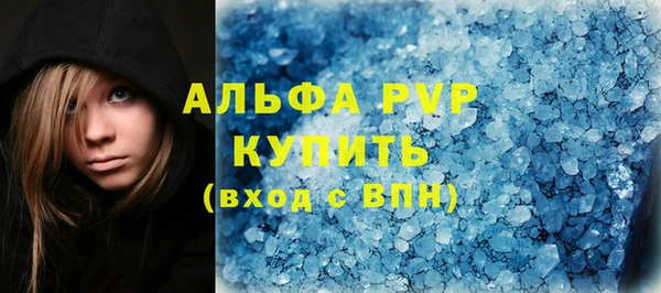 хмурый Новозыбков