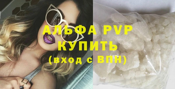 хмурый Новозыбков