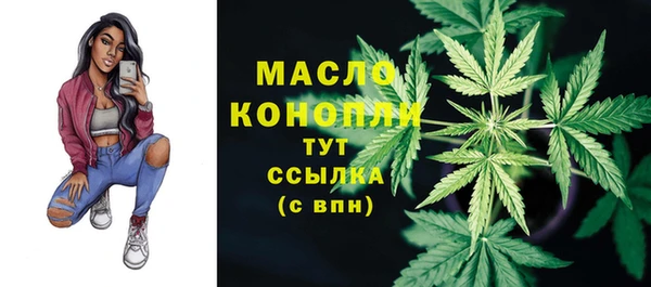 СК Няндома
