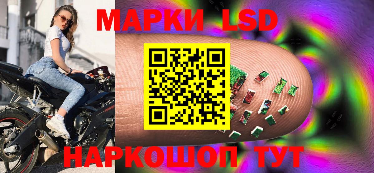 A-PVP Ставрополь