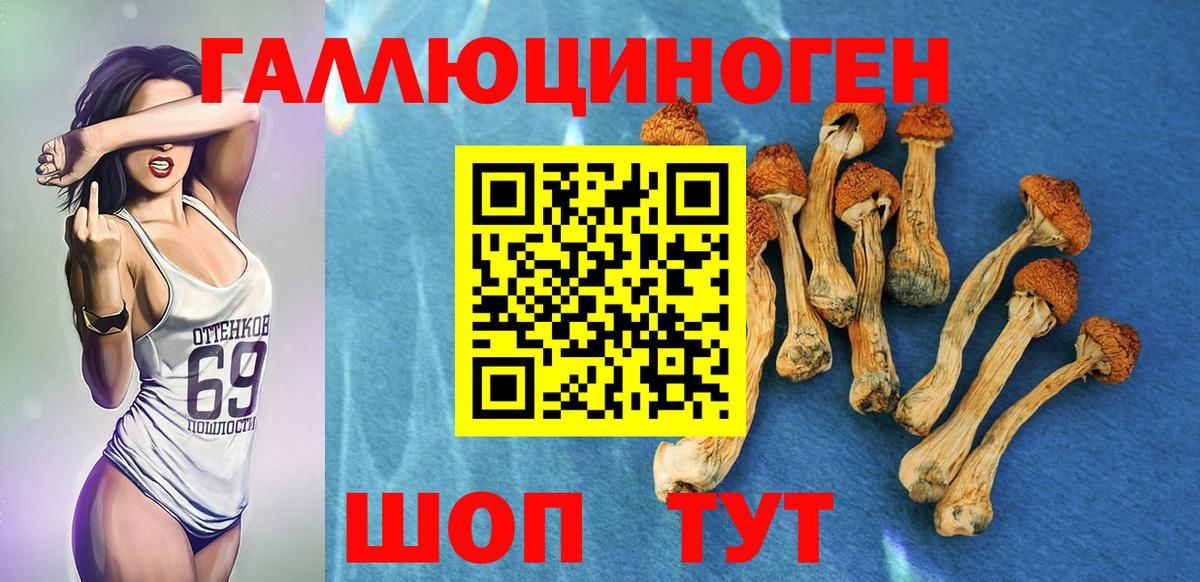 Псилоцибиновые грибы мухоморы Ставрополь
