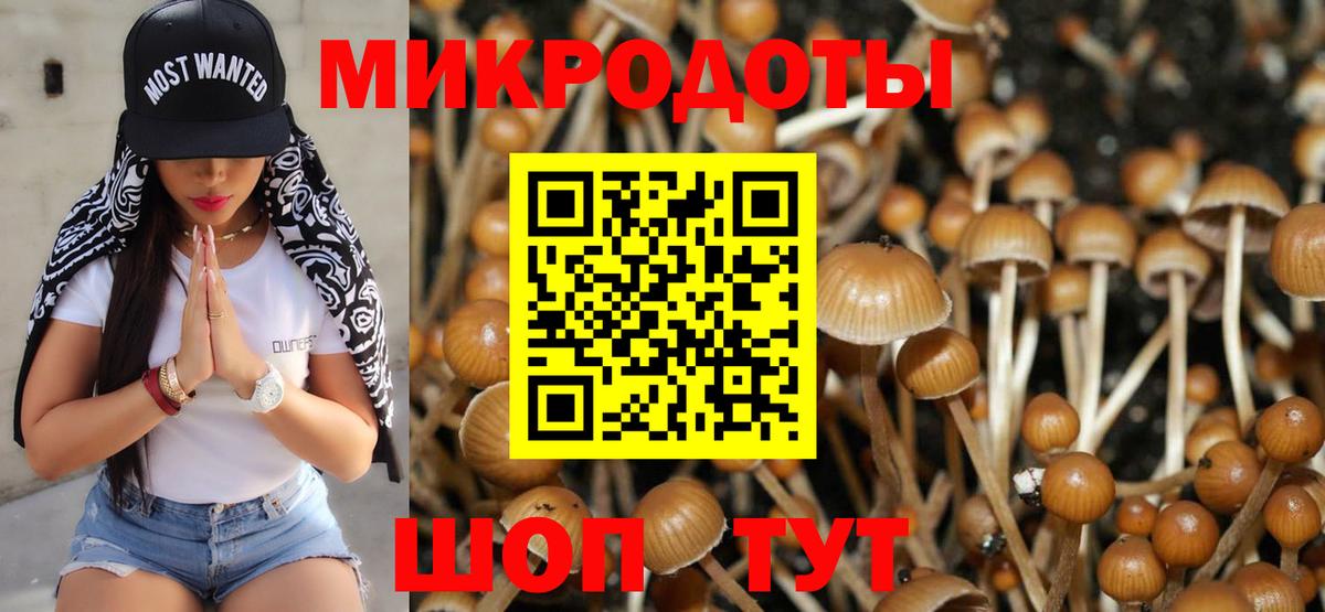 Галлюциногенные грибы прущие грибы  Вход с VPN  закладка  Ставрополь 